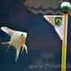 Image for article titled Watch A Super Mario Bros. Aquarium Get Built From Scratch